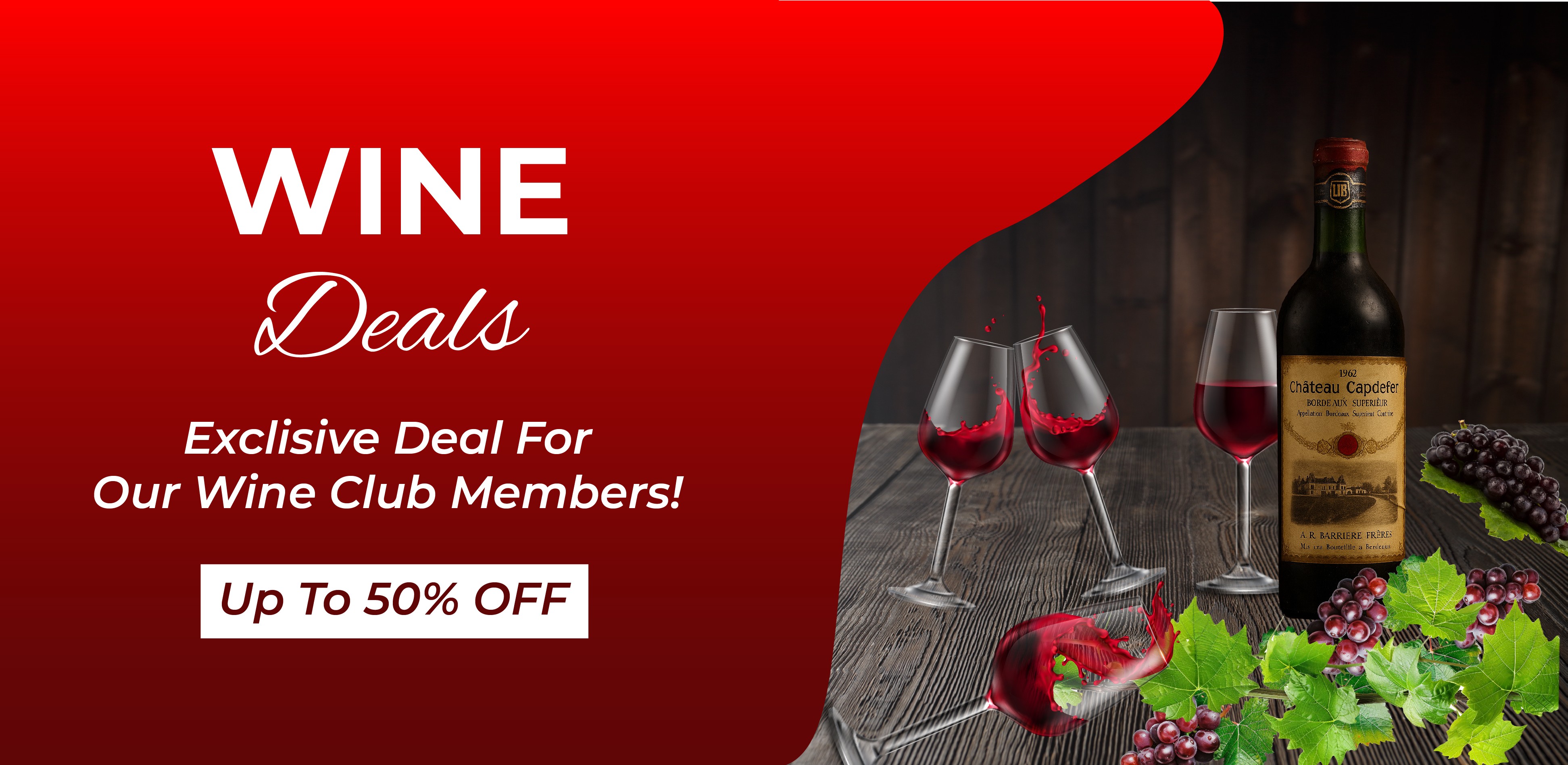 Homepage Promotional Banner